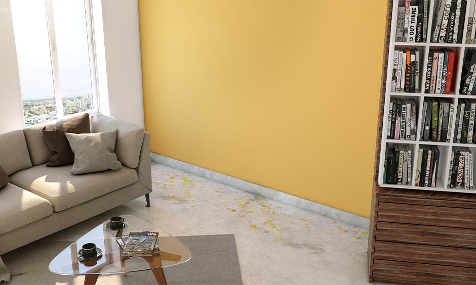 How to clean distemper from floor